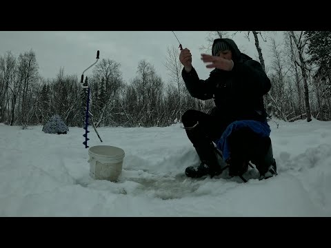Рыбачу на городской речке Нанкпех, ловлю живца.