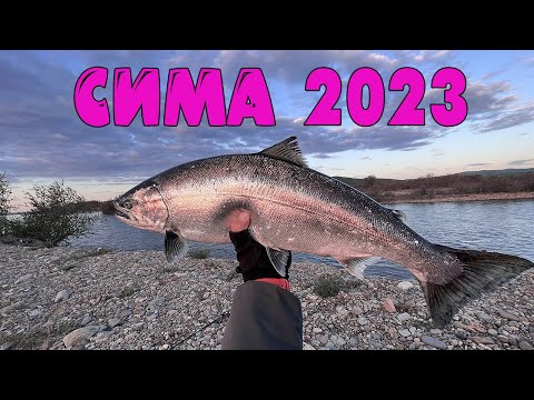 Сима 2023 Тернейский район
