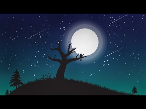Night sky illustration | illustration in illustrator