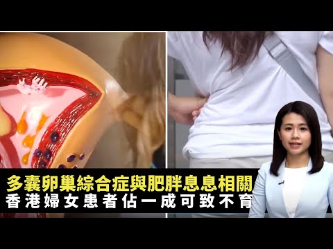 多囊卵巢綜合症與肥胖息息相關 香港婦女患者佔一成可致不育 低脂飲食營養師推薦喳咋涼粉 -TVB最強生命線 -香港新聞 -TVB News -黃靖婷