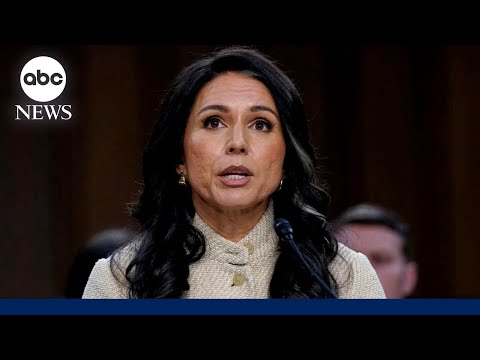 Tulsi Gabbard grilled by lawmakers on war with Iran