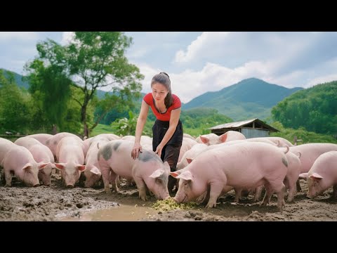 Buy 1000+ Pigs, Ducks and Chickens, Use Truck Transport to Countryside Market Sell | Farm Farm TV