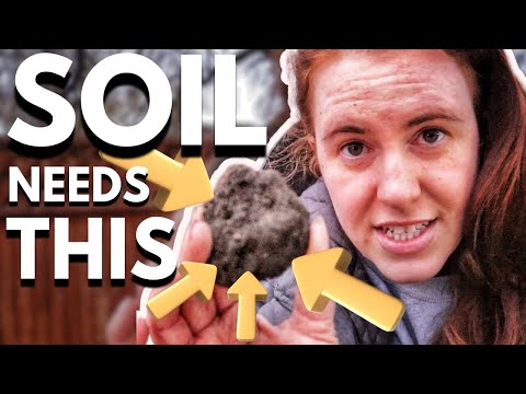 Compacted Garden Soil | The 1 ODD Soil Test Nobody Does.