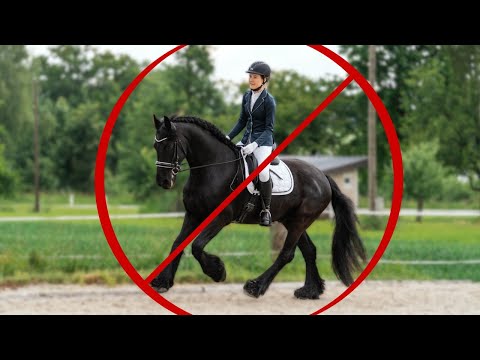 Disqualifiziert 😳 Was ist am Turnier los?!