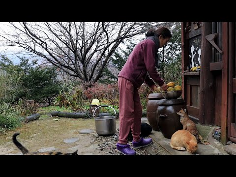 산골의 시골집 겨울일상~!!