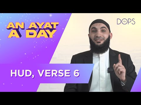 Surah HUD Verse 6 | AN AYAT A DAY with Ustadh Najib Ayoubi