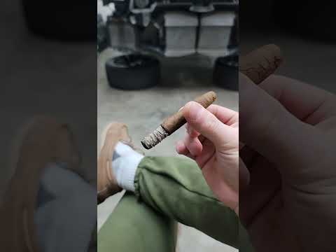 Calm before the Storm (Alpha 7 Build)