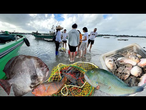 廣東省 硇洲岛 硇洲漁港碼頭 海鮮批發市場 沙灘魚市場 魷魚20元一斤 青衣22元一斤 活蘭花蟹50元一斤 海邊趕海 火龍果種植園 Seafood Market StreetFood Citywalk