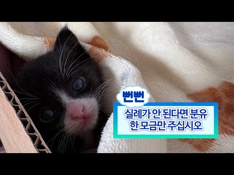 밥 먹고 쭙쭙이로 에너지를 다 써서 안 크는 걸까