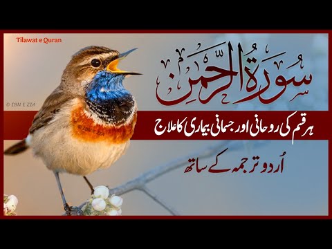 Surah Rahman With Urdo Translation | Qari Al Sheikh Abdul Basit Abdul Samad | Powerful Recitation