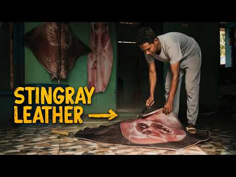 The World's Most EXPENSIVE Leather? - Asia’s Obsession with Stingray