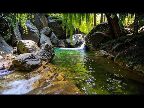 Relaxing Water Stream Sounds | Water Sounds & Birds | Sleep, Study, Meditation