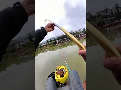 我相信你们都能告诉我是什么感觉的，对吗？😄#户外钓鱼 #爱生活爱钓鱼 #钓鱼王池战泡泡球