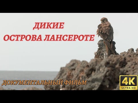 Мир Дикой Природы. Острова Лансароте. Документальный Фильм 4K.