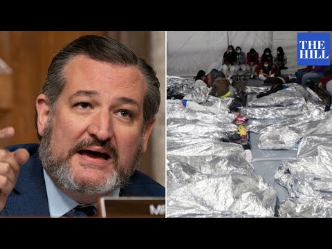 'Has Joe Biden Seen The Biden Cages?' Cruz Slams Mayorkas On Immigrant Detention Centers