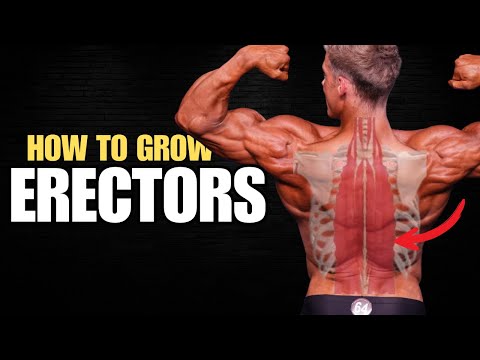 Why Your Back Looks Flat (And How to Fix It)