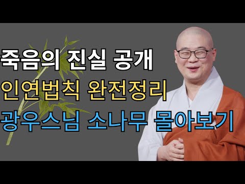 죽음과 인연의 법칙｜광우스님의 소나무 몰아보기