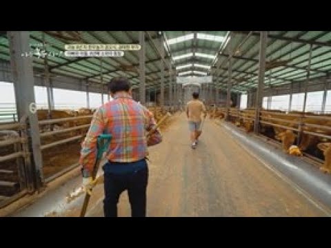 [Ep. 02] Mr. Kwon's 1st place Korean beef challenge