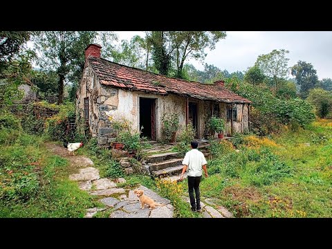 Reviving a 30-Year-Old Abandoned Mountain Farm in 120 Days | From Start to Finish