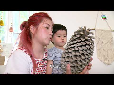 星期日檔案 - 裸買裸賣