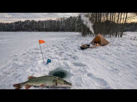 Winter camping by the lake hot tent, fishing and dog