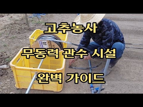 고추밭 무동력 관수 시설 초보도 알게 쉽도록 처음부터 끝까지 완벽 가이드! 🌶️👍 #고추농사 #관수시설 #농업 #가이드 #팁 #초보농부 #농촌생활