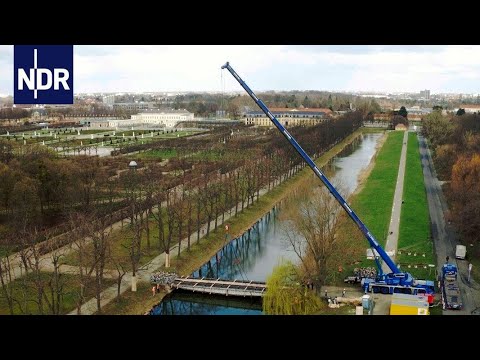 Große Kräne, schwere Lasten | Die Nordreportage | NDR