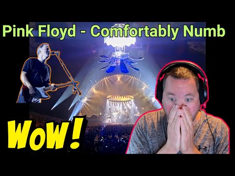 Pink Floyd - Comfortably Numb - pulse concert - Reaction - SO MAGICAL!