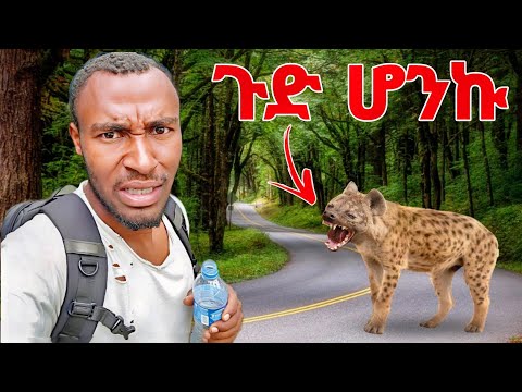አዲስ አበባን 31 ኪሎሜትር በእግሬ አቋረጥኩ ጅብ በልቶኝ ነበር #survival #ethiopianvlog 