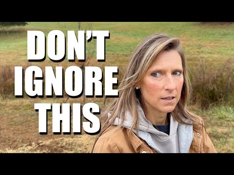 You MUST do this NOW because it's gonna get REALLY BAD // PREPARE