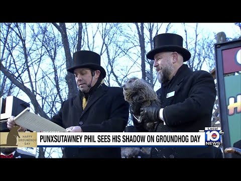 Punxsutawney Phil says winter will continue