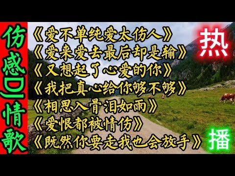 王爱华7首好听伤感DJ情歌《爱太伤人》输 既然你要走我也会放手