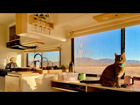 Tour of our 1995 Lazy Daze RV conversion