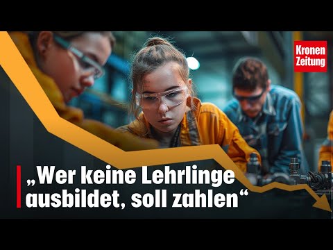 Alarmierende Statistik: „Wer keine Lehrlinge ausbildet, soll zahlen“ | krone.tv "NEWS"