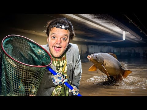 RELOCATING FISH FROM COLLECTOR TO THE POOL ! (TURN ON THE SUBTITLES !)