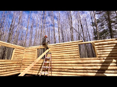 Solo Building A Big Log Cabin From My Land: Done With Eave Logs