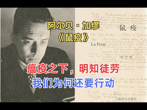 重读《鼠疫》:明知注定失败,为何里厄医生还要行动?荒谬哲学下如何保留个体尊严。