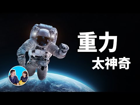 目前信息量最大的一期，重力 | 老高與小茉 Mr & Mrs Gao