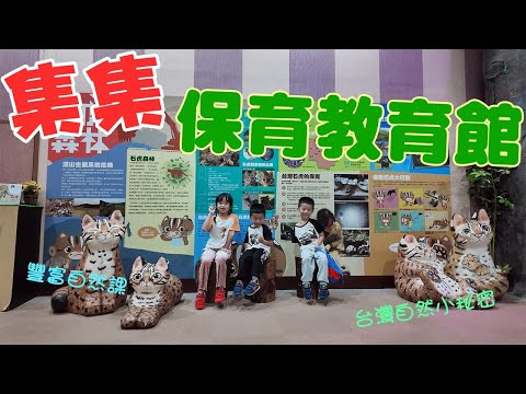 【孟敬E家】🌳🔍2025保育教育館 超豐富自然課！一起玩學台灣生態！帶你看見台灣的自然小秘密 🐢🌿