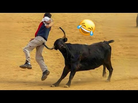 Funniest Fail Videos & Viral Memes Of The Year 😂🤣 Try Not To Laugh Challenge #11