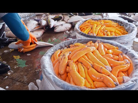 Amazing Mullet Cutting Skills！Fish Roe Making, Grilled Mullet Roe / 驚人的烏魚瀑布！烏魚子製作, 烏魚子一口吃, 烏魚米粉湯