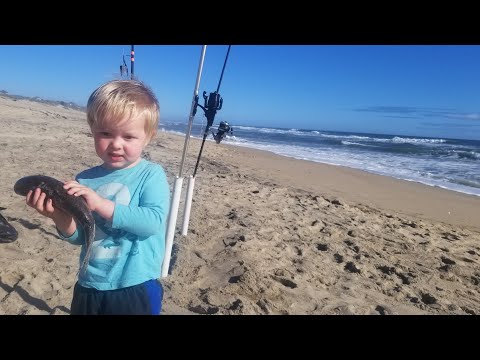 Surf fishing Live 🔴 Fishing tips and tactics and Q&A