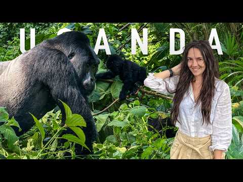 48 Hours Tracking Mountain Gorillas in Bwindi, Uganda