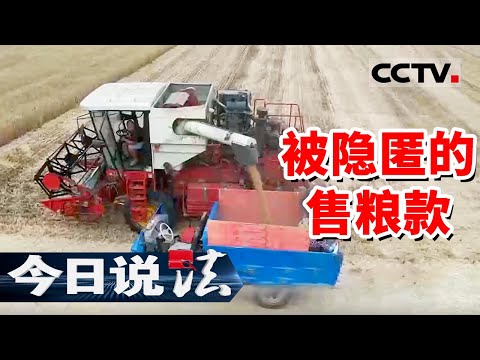 《今日说法》“高价收粮”背后是坑！徐州粮商被卷1400多万元 骗子套路曝光！20250730 | CCTV今日说法官方频道