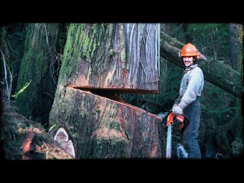 YETI Presents: Bruhwiler Country