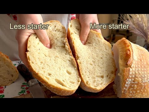 Starter Power: What Happens When You Use More or Less in Sourdough?