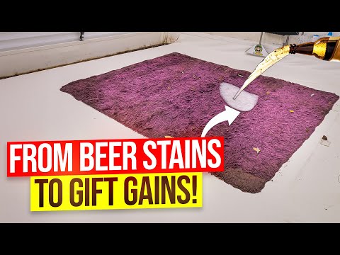 Cleaning the Beer-Soaked Rug: A Gift for the Granddaughter! | Satisfying ASMR Cleaning