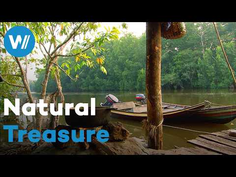 The Orinoco River, Venezuela’s natural and cultural treasure