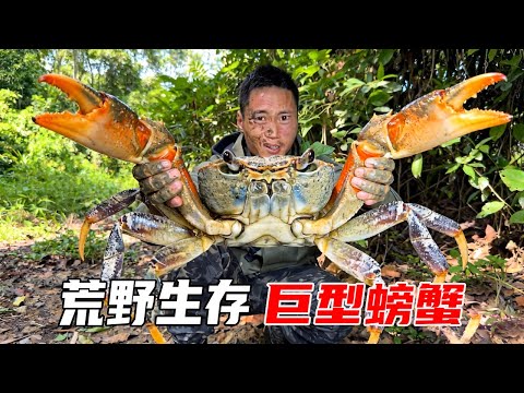 热带雨林荒野生存(1):夜里突然降温饥寒交迫,搭建单坡屋式的临时避难所,挖到螃蟹终于吃上蛋白质【户外平头哥】