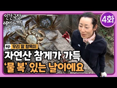 [인간극장 레전드🎬😘💕#368-4] 자연산 참게가 가득, '물복' 있는 날이에요ㅣ우리 딸 향옥이 (4/5)  [KBS 141117-141121 방송]